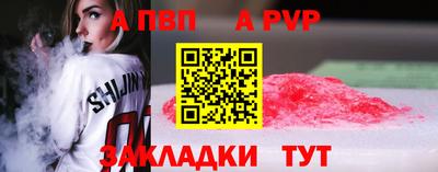 стаф Донской
