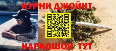 стаф Донской