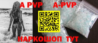 стаф Донской