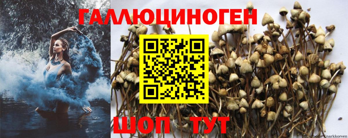Галлюциногенные грибы ЛСД  Галлюциногенные грибы MAGIC MUSHROOMS  купить закладку  Армавир  Вход с VPN 